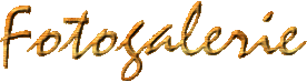 Logo Fotogalerie